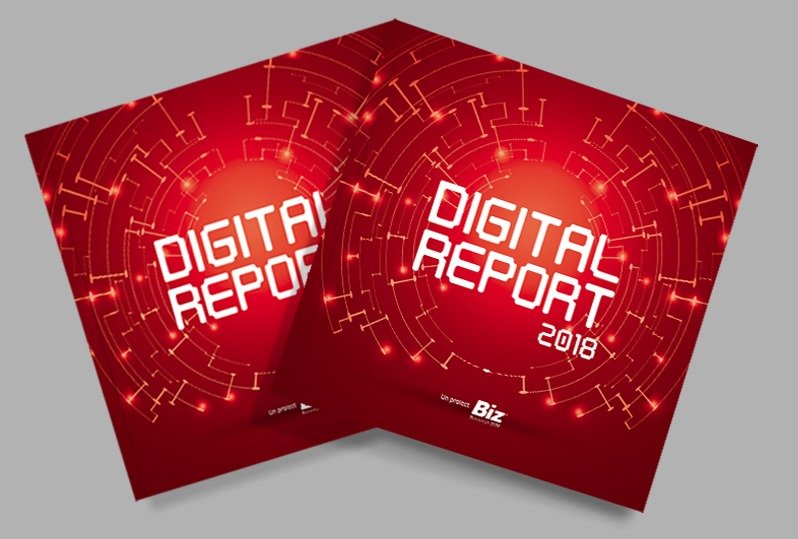 BIZ Digital Report 2018
