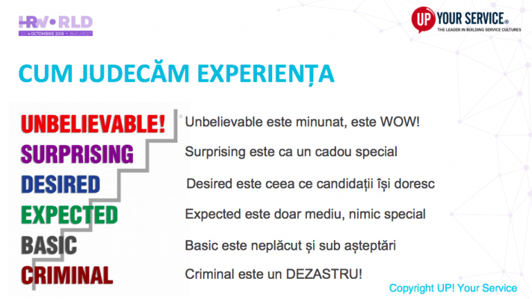 experienta candidatului