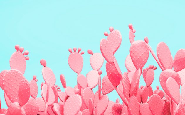 curajul de oferi feedback