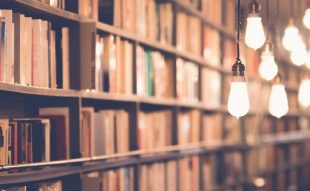 programe-de-training