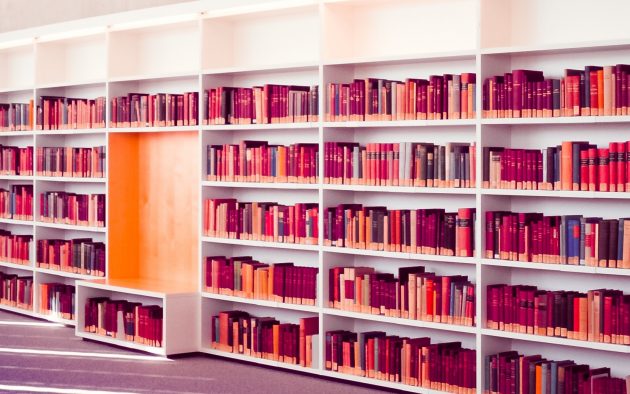 programe de training