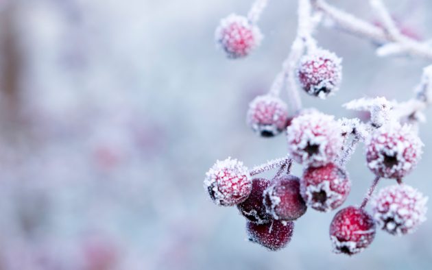 stresul la locul de munca