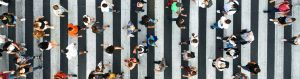 leadership colaborativ