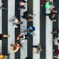 leadership colaborativ