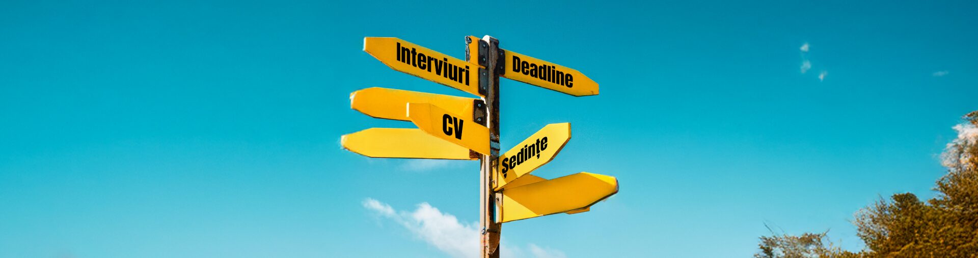 tendințe recrutare 2025