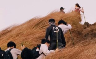 angajare cetatean strain