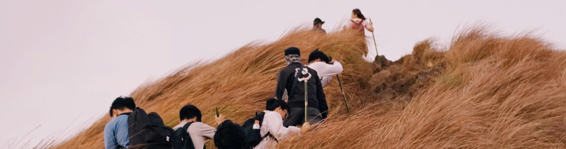 angajare cetatean strain